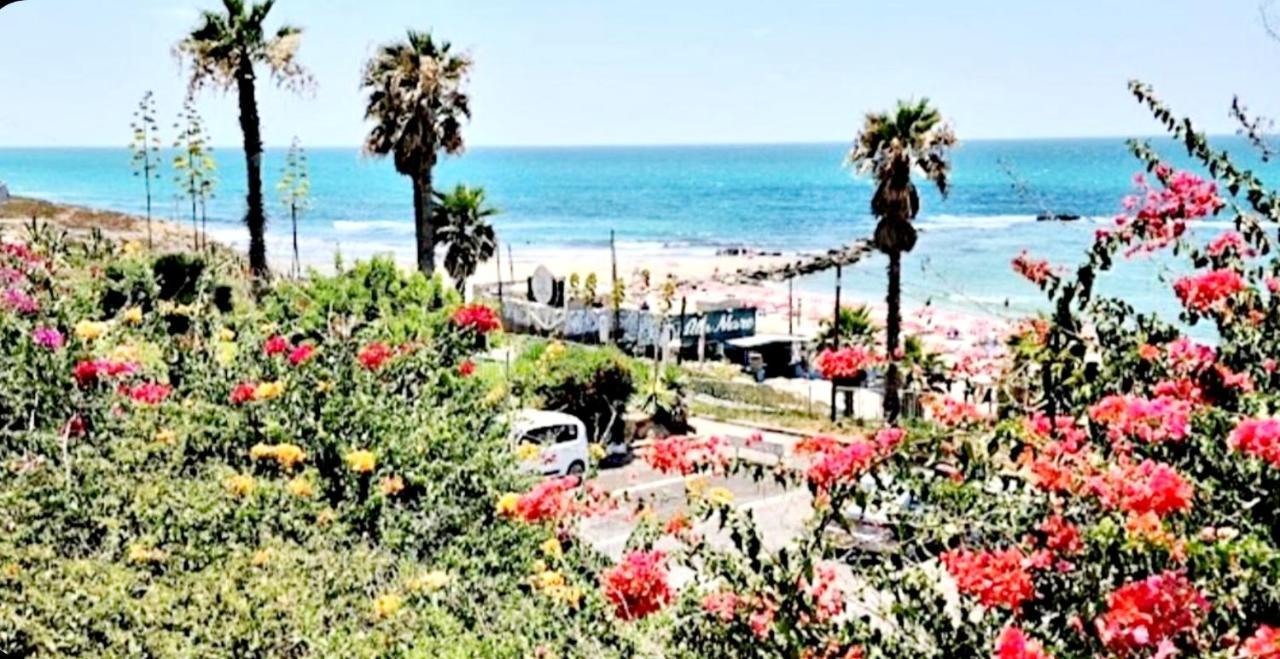 Beachfront Studio Apartment Bat Yam 412 Bagian luar foto